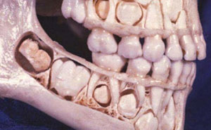 80 Medical Pics That Are Weirdly Mesmerizing And Slightly Disturbing