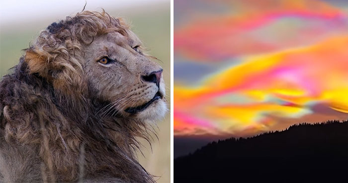 If You Need Some Lighthearted Facts And Pics, These 42 Might Be What You Were Looking For