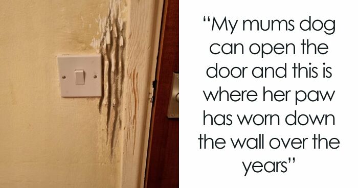 65 Fascinating Photos Of Everyday Objects That Have Worn Down In Unexpected Ways