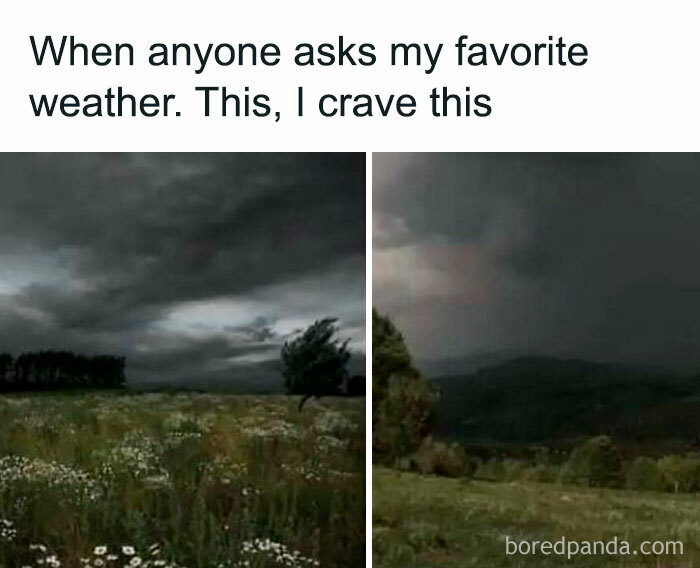 Dark and stormy weather over a field with flowers, illustrating relatable memes about life as an introvert.