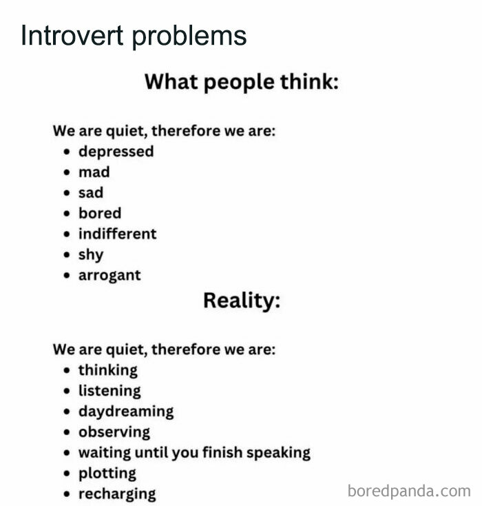 Text meme showing introvert problems, contrasting what people think versus reality about quietness in relatable introvert memes.