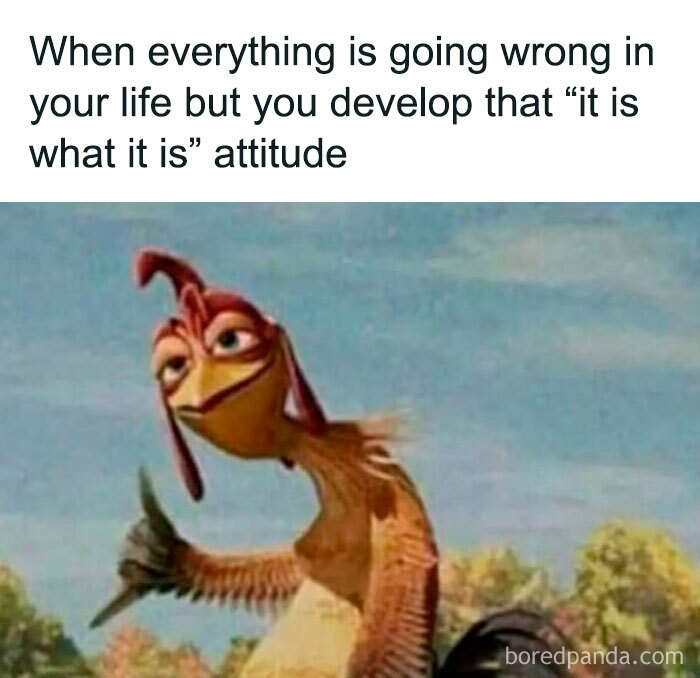 Cartoon character showing a thumbs-up with an it is what it is attitude, relatable to introvert life memes.
