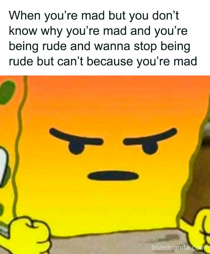 Angry SpongeBob meme illustrating frustration and confusion relatable to life as an introvert.