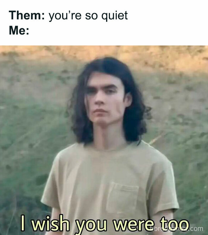 Young person standing outdoors with long hair and neutral expression, relatable meme about introvert life.