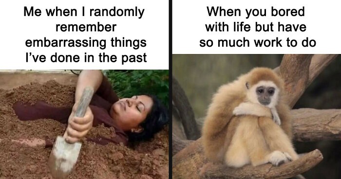 80 Funny Memes That Introverts Might Recognize Themselves In