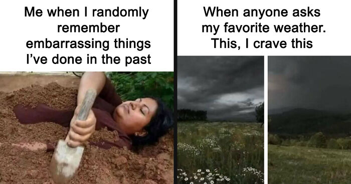 80 Relatable Memes To Sum Up Life As An Introvert