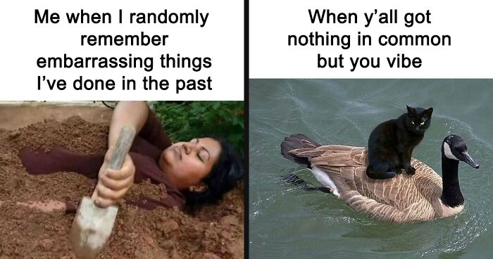 80 Funny Memes That Introverts Might Recognize Themselves In