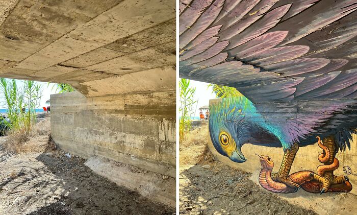 Side-by-side images showing a dull concrete wall before and after a realistic 3D mural painting of a bird catching a snake.