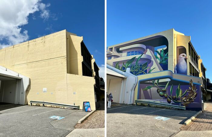 Before and after images of realistic 3D murals painted on dull building walls with plants and a bird design.