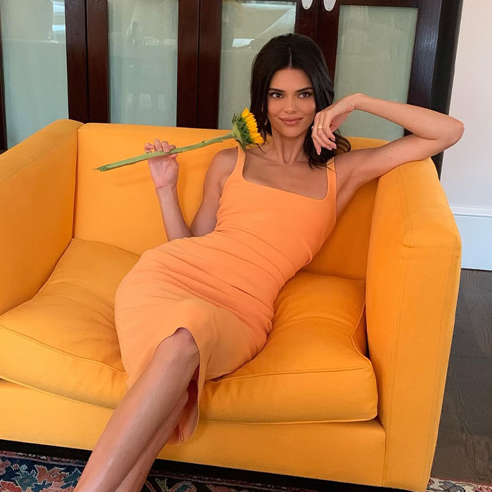 "Hand Her A Mirror": Kendall Jenner Draws Scrutiny After Denying Plastic Surgery Rumors