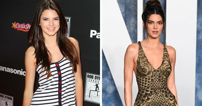 50 Funny Memes To Remind You How Awesome Cats Are