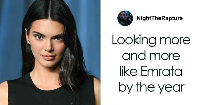 50 Funny Memes To Remind You How Awesome Cats Are