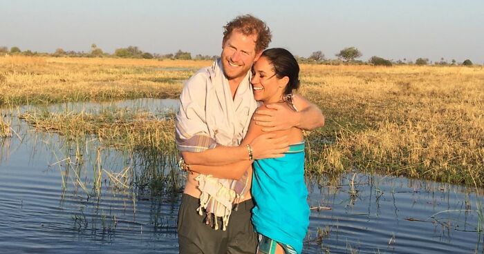 This Sanctuary For Senior Dogs Shared 30 Photos That Show Love Has No Age Limit