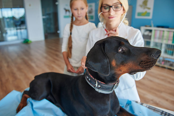 "Convinced She Was Pregnant": 49 Times Doctors Had To Correct Patients Who Tried To Self-Diagnose