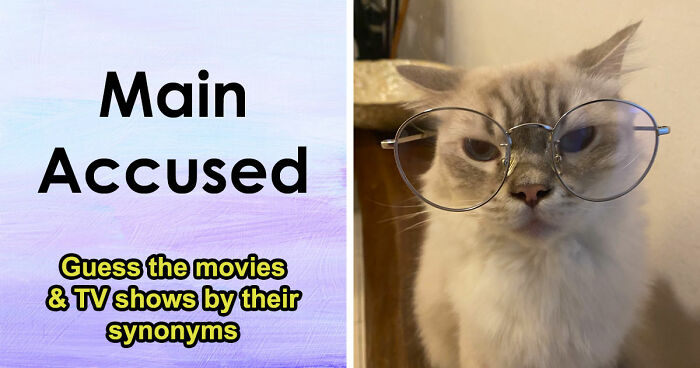 Only The Sharpest Minds Will Decode These 30 Funky Synonyms Of Popular Movies And TV Shows