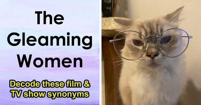 Only The Sharpest Minds Will Decode These 30 Funky Synonyms Of Popular Movies And TV Shows
