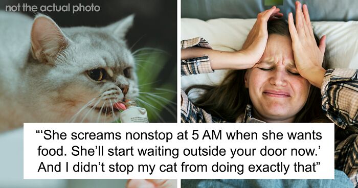 Woman Ignores Neighbor’s Warning To Stop Feeding Their Cat, Starts Getting 5 AM Wake-Up Meows