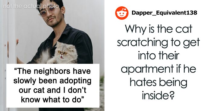 Person’s Cat Starts Disappearing For Days, Turns Out The Neighbor Has Been ‘Adopting’ Him