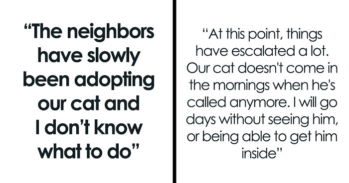 Person’s Cat Starts Disappearing For Days, Turns Out The Neighbor Has Been ‘Adopting’ Him