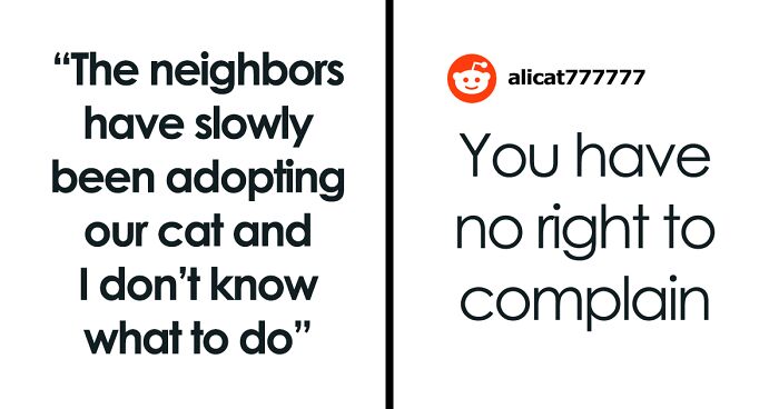 Neighbor Keeps Stealing Woman’s Cat, She Doesn’t Know What To Do: “I Really Miss My Cat”