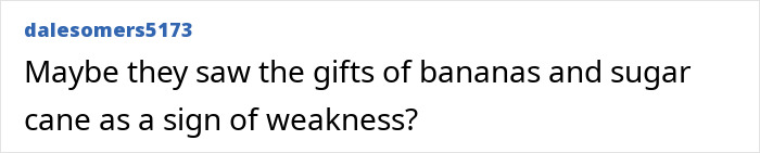 Comment text from dalesomers5173 questioning if gifts of bananas and sugar cane were seen as weakness by an uncontacted Amazonian tribe.