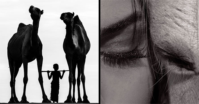 Standout Non-Professional Photos From The Exposure One Awards Nature Photography Contest You’ll Want To Study (43 Pics)