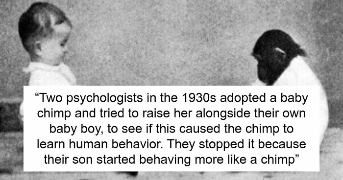 27 Creepy Old-School Photos That Feel Slightly Cursed (New Pics)