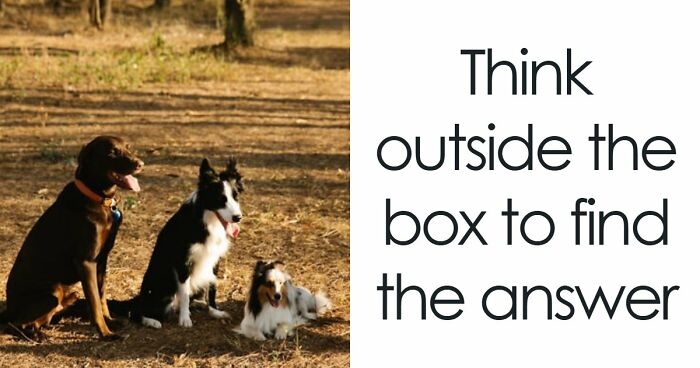 “Can You Survive This ‘1% Club’ Logic Test?”: 30 Questions That Get Progressively Harder