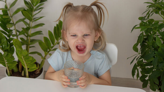 Woman furious: toddler screaming at table clutching a glass, parents laughing off-frame Woman furious: toddler screaming at table clutching a glass, parents laughing off-frame