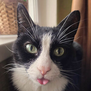 Viktorija Ošikaitė