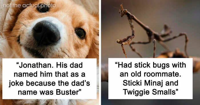 80 Times People Heard Such Brilliant And Bizarre Pet Names That They Just Had To Share Them