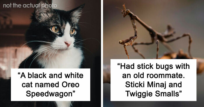 80 Times People Heard Such Brilliant And Bizarre Pet Names That They Just Had To Share Them