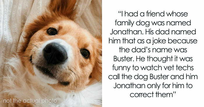 “It Will Never Fail To Amuse Me”: 80 Funny Names Pets Didn’t Ask For