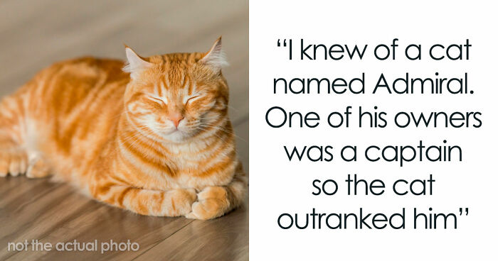 80 Pet Names That Are So Weird And Funny, They’re Actually Brilliant