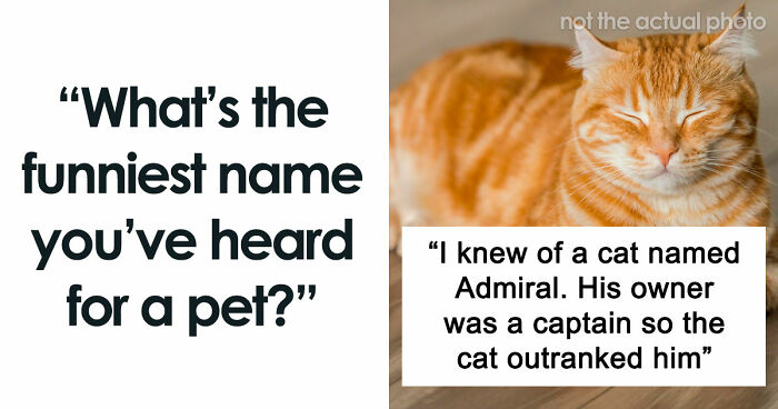 80 Unhinged Pet Names That Made People Laugh Out Loud