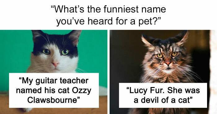 80 Times People Heard Such Brilliant And Bizarre Pet Names That They Just Had To Share Them
