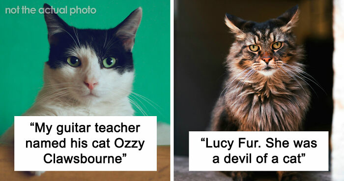 80 Pet Names That Are So Weird And Funny, They’re Actually Brilliant
