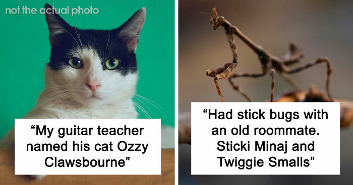 80 Pet Names That Are So Weird And Funny, They’re Actually Brilliant