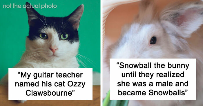 80 Pet Names That Are So Weird And Funny, They’re Actually Brilliant