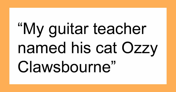 80 Pet Names That Are So Weird And Funny, They’re Actually Brilliant