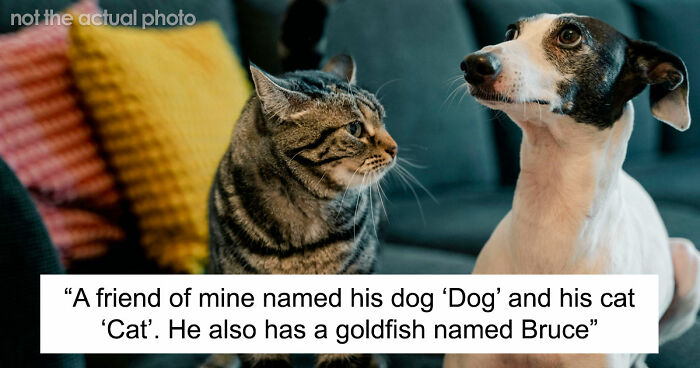 80 Times People Heard Such Brilliant And Bizarre Pet Names That They Just Had To Share Them