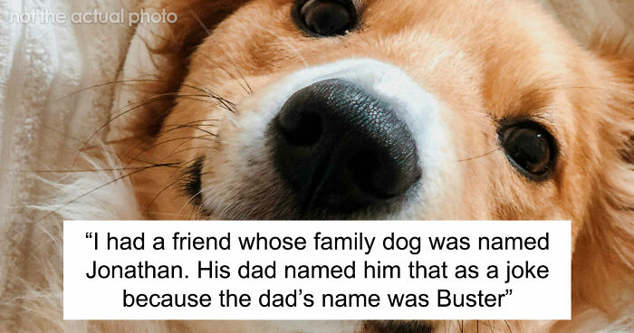 “It Will Never Fail To Amuse Me”: 80 Funny Names Pets Didn’t Ask For