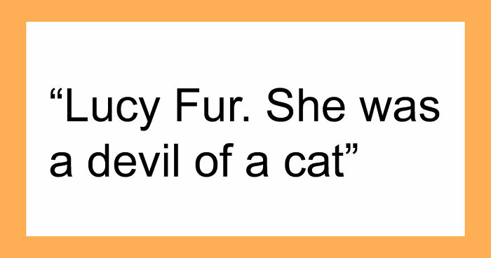 “It Will Never Fail To Amuse Me”: 80 Funny Names Pets Didn’t Ask For