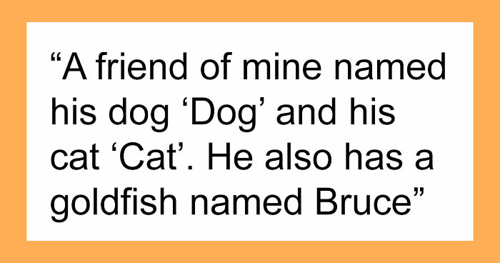 80 Unhinged Pet Names That Made People Laugh Out Loud
