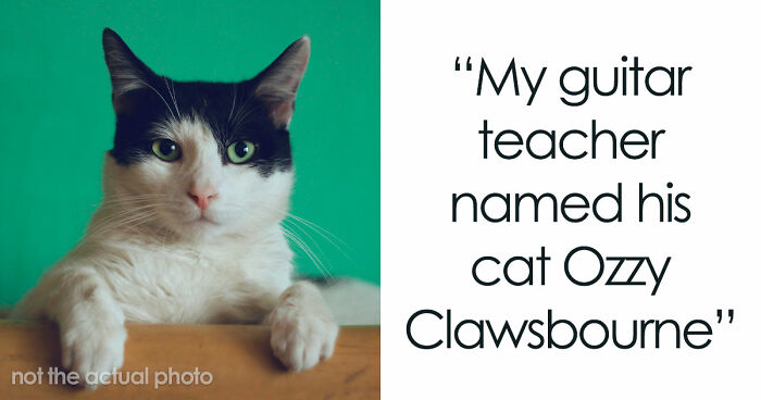 “It Will Never Fail To Amuse Me”: 80 Funny Names Pets Didn’t Ask For