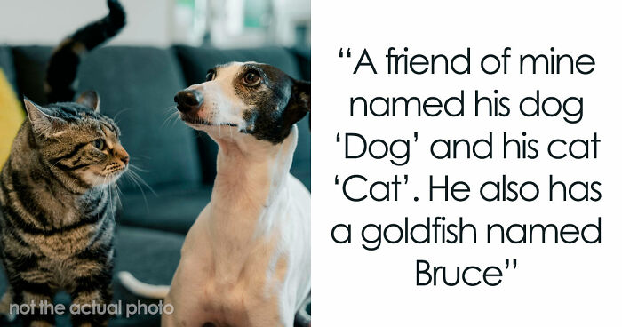 80 Times People Heard Such Brilliant And Bizarre Pet Names That They Just Had To Share Them