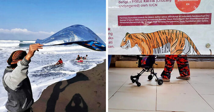 40 Street Photos Capturing Coincidences So Weird, You Might Have To Look Twice