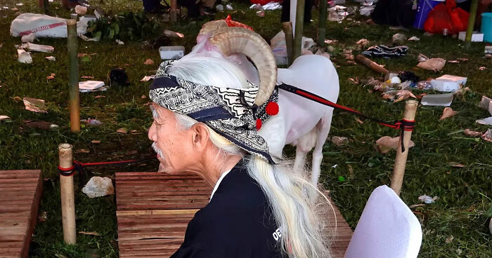 40 Street Photos Capturing Coincidences So Weird, You Might Have To Look Twice