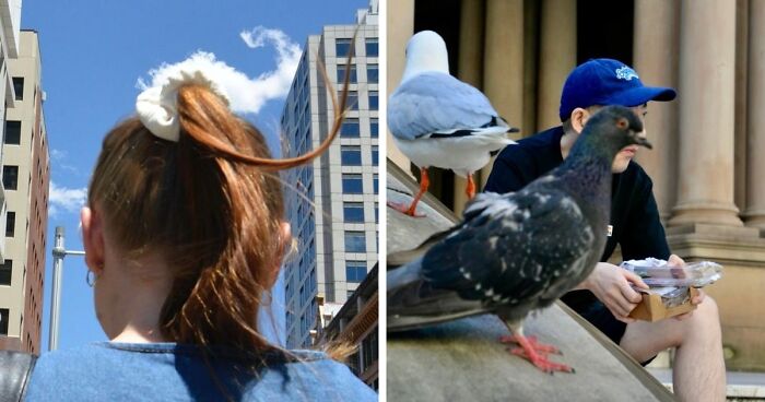 This Photographer Captures Perfectly Timed Street Coincidences In 50 Photos