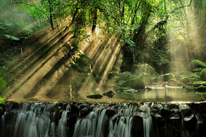 Sunrays filtering through lush forest trees over a small waterfall, highlighting nature’s beauty in lesser-known countries facts.